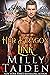 Her Dragon Link (Awaken the Dragon #2)
