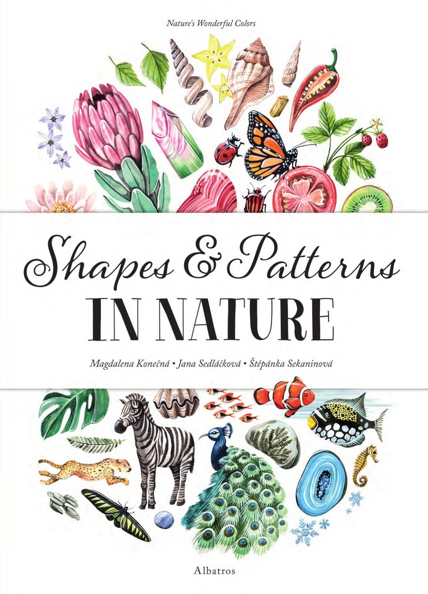 Shapes & Patterns in Nature (Nature's Wonderful Colors)
