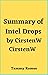 Summary of Intel Drops by Tammy Ramos
