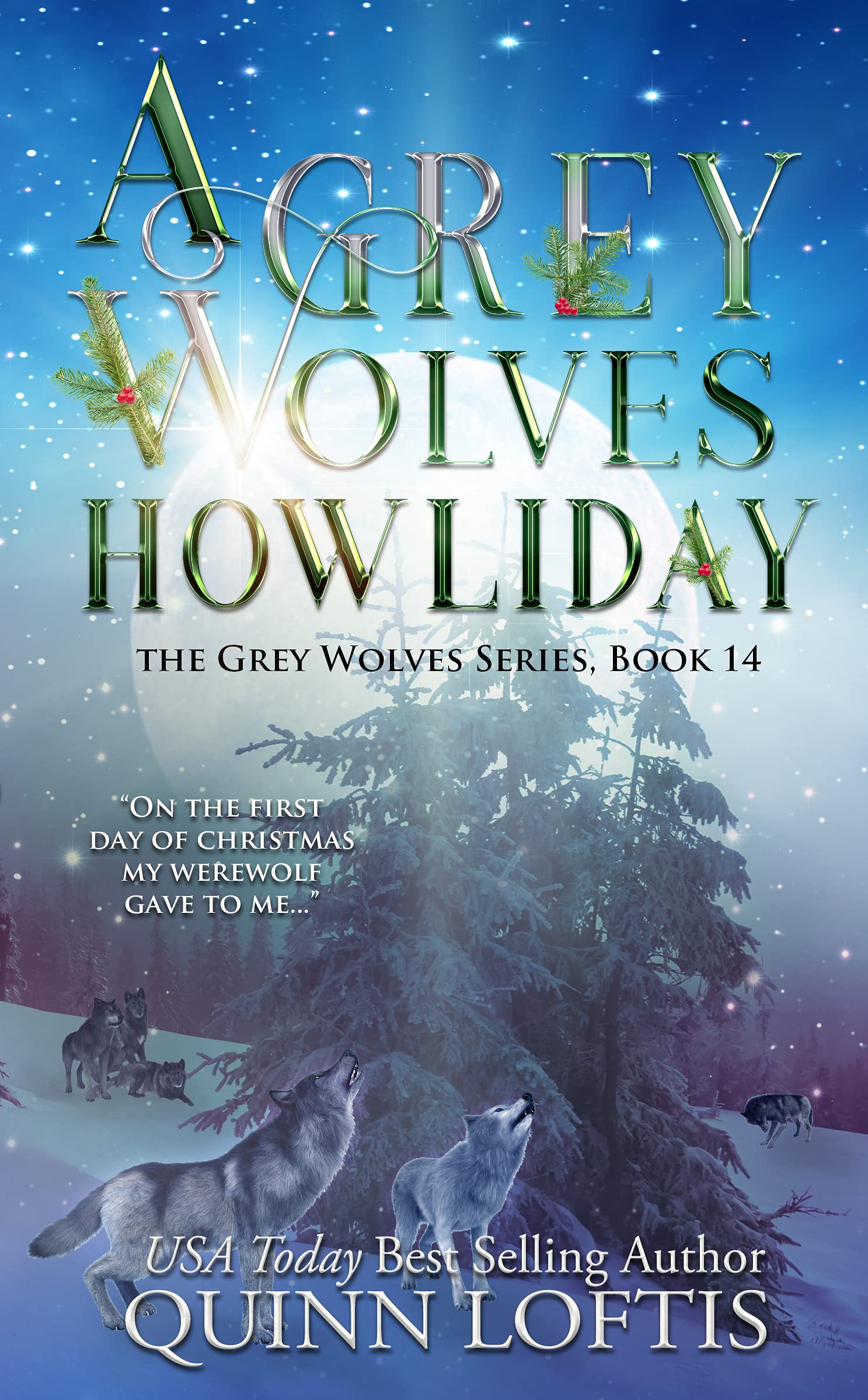 A Grey Wolves Howliday (The Grey Wolves, #14)