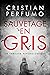 Sauvetage en gris: Un polar en Patagonie (French Edition)