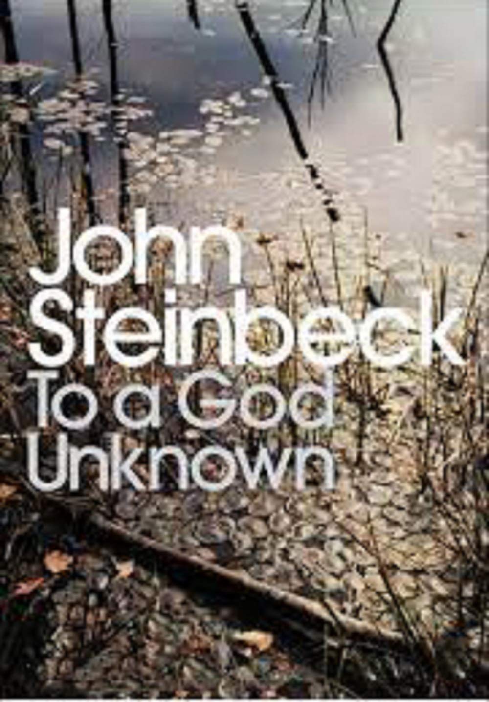 To a God Unknown