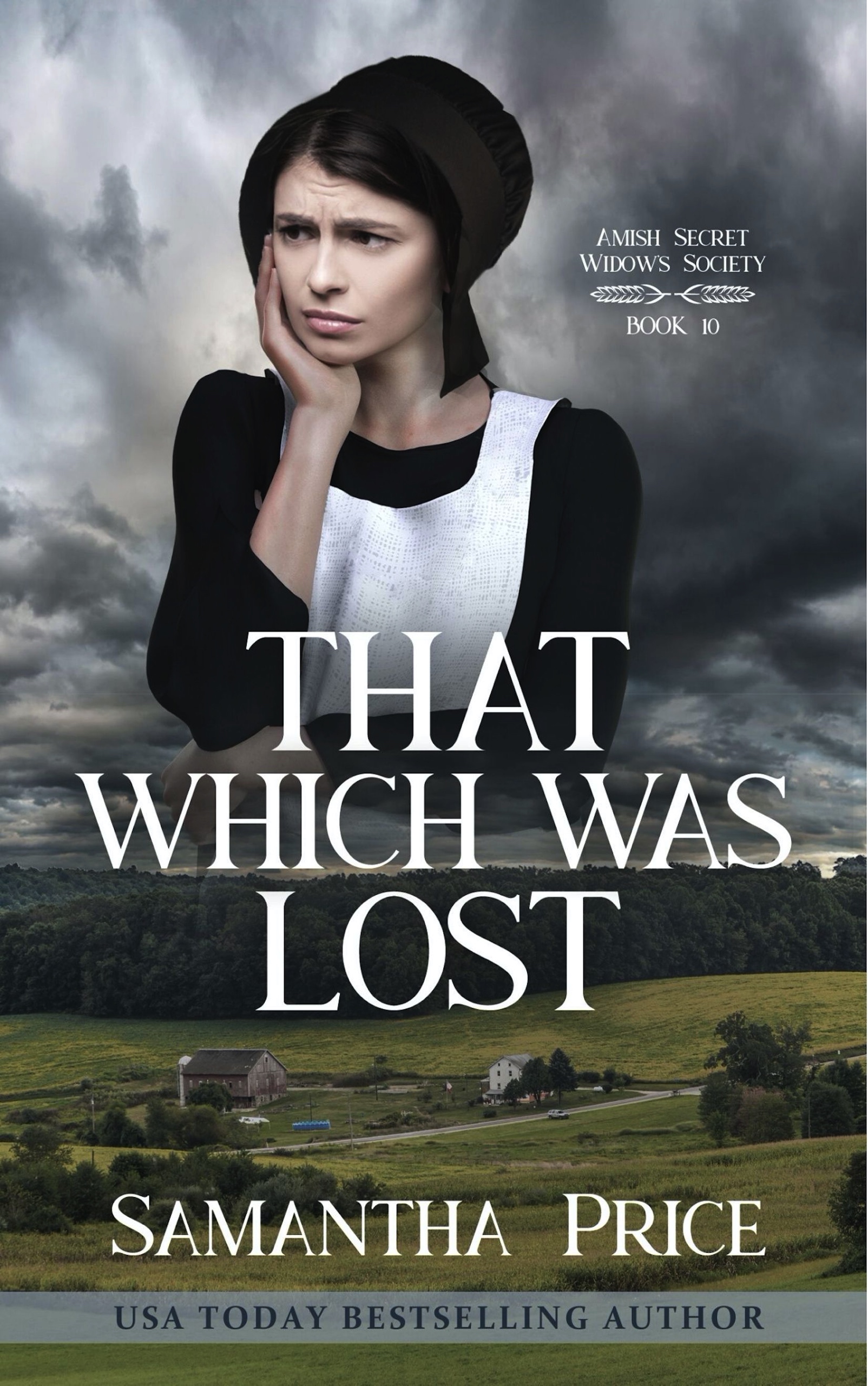 That Which Was Lost (Amish Secret Widows' Society #10)