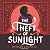 The Theft of Sunlight by Intisar Khanani
