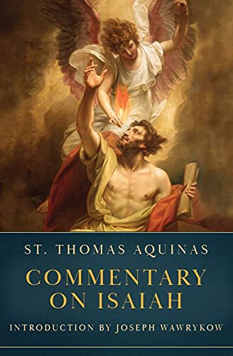 Commentary on Isaiah (Hardcover)