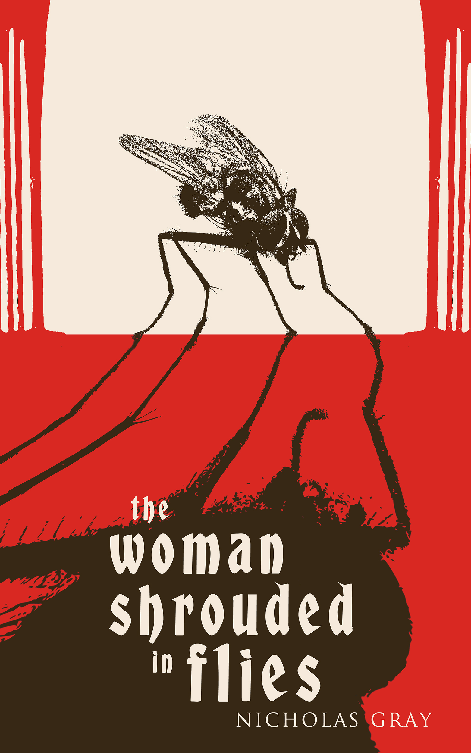 The Woman Shrouded in Flies (Paperback)