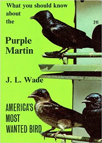 What you should know about the purple martin, America's most wanted bird