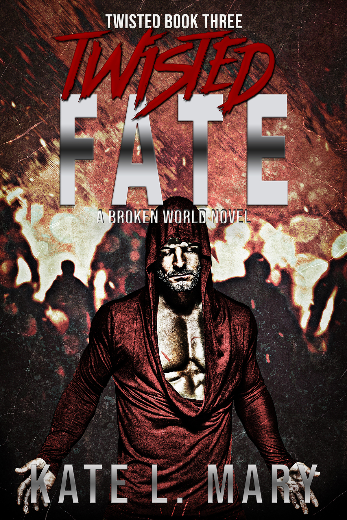 Twisted Fate (Twisted Series, #3)