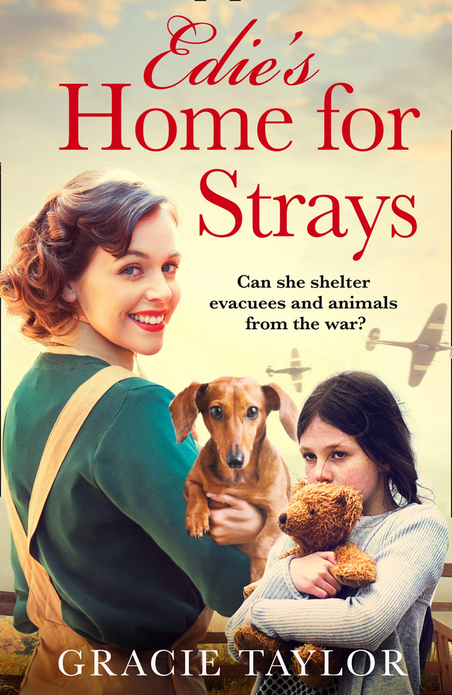 Edie’s Home for Strays (Kindle Edition)
