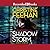 Shadow Storm (Shadow Riders, #6)