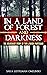 In a Land of Forest and Darkness by Sara Lustigman Omelinski