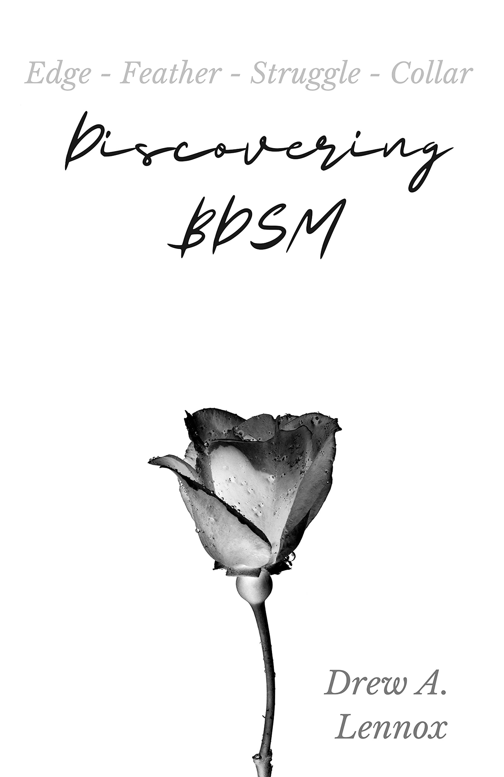 Discovering BDSM: Book Bundle (Edge, Feather, Struggle, and Collar)