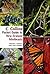 Collins Pocket Guide to New Zealand Minibeasts