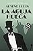 La aguja hueca by Maurice Leblanc