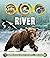 Life Cycles: River