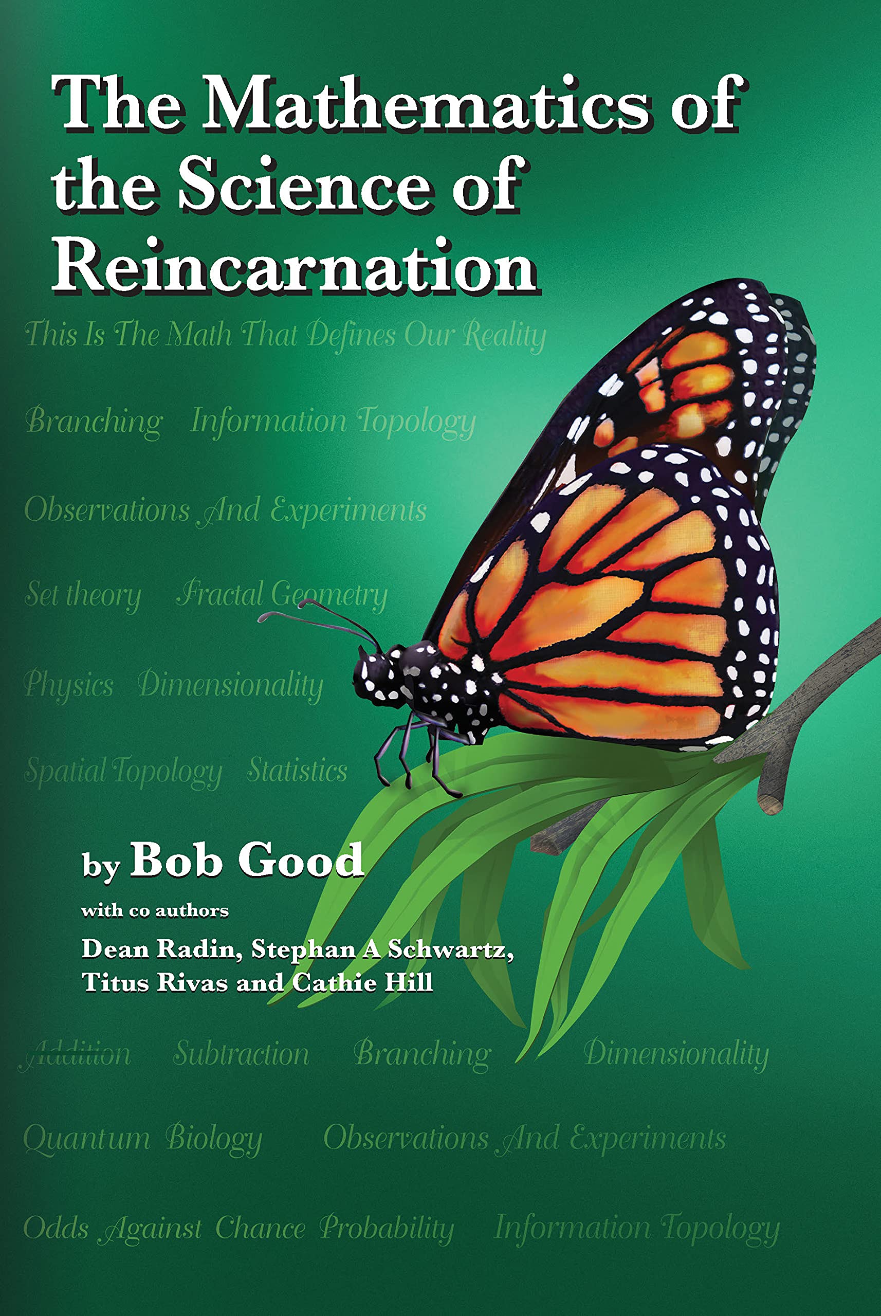The Mathematics of the Science of Reincarnation: The Matrix of Consciousness (The Science of Reincarnation Series Book 2)