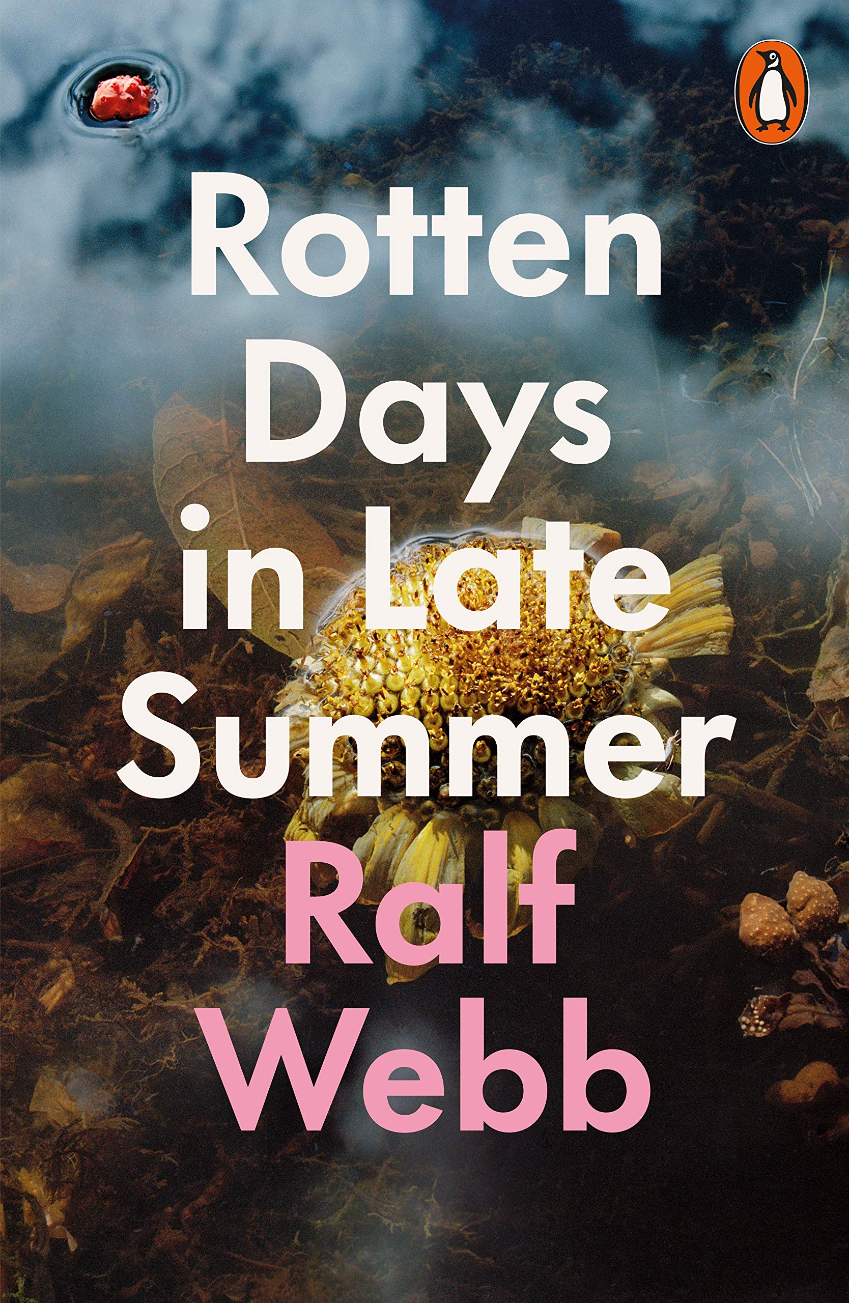Rotten Days in Late Summer (Paperback)