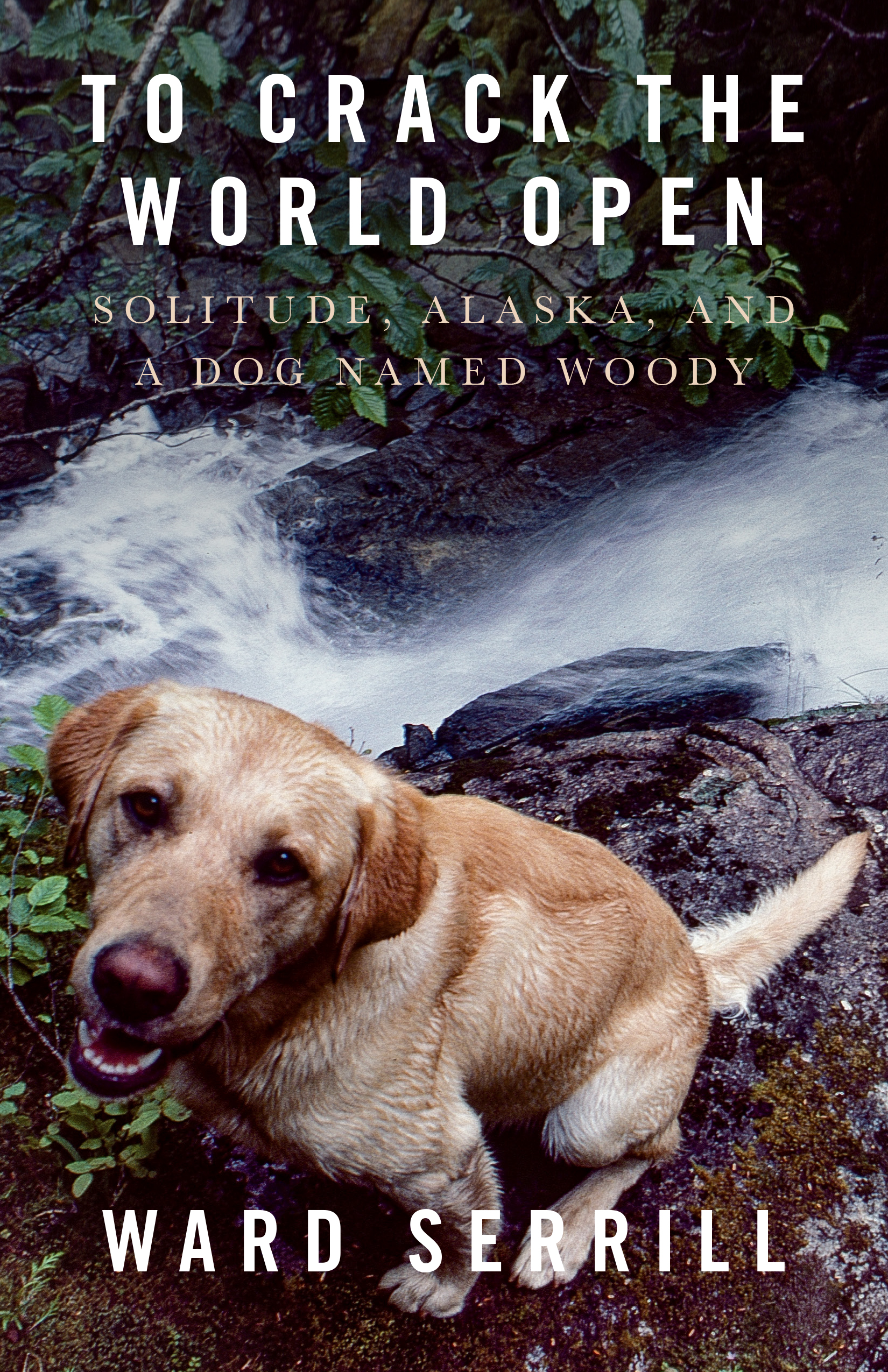 To Crack the World Open: Alaska, Solitude, and a Dog Named Woody