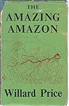 The Amazing Amazon
