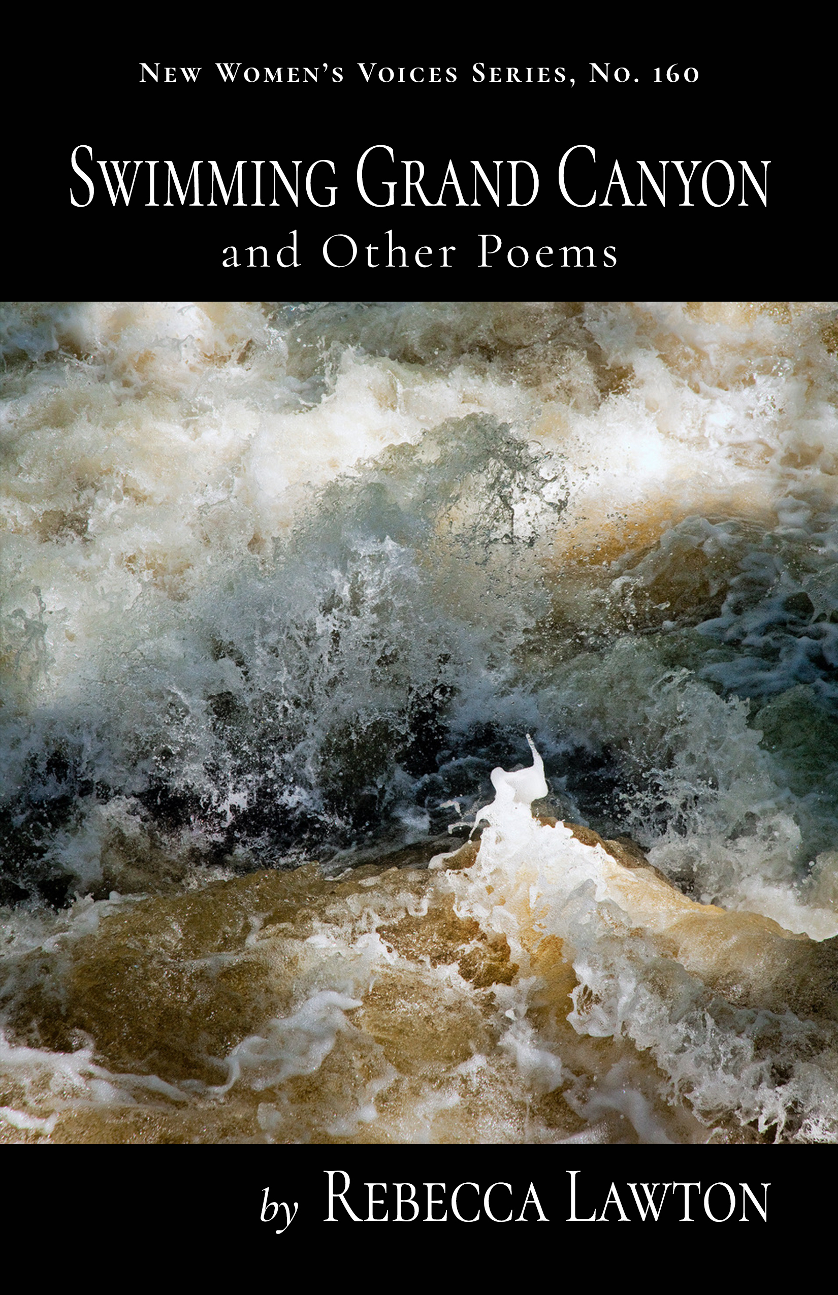 Swimming Grand Canyon and Other Poems (Paperback)