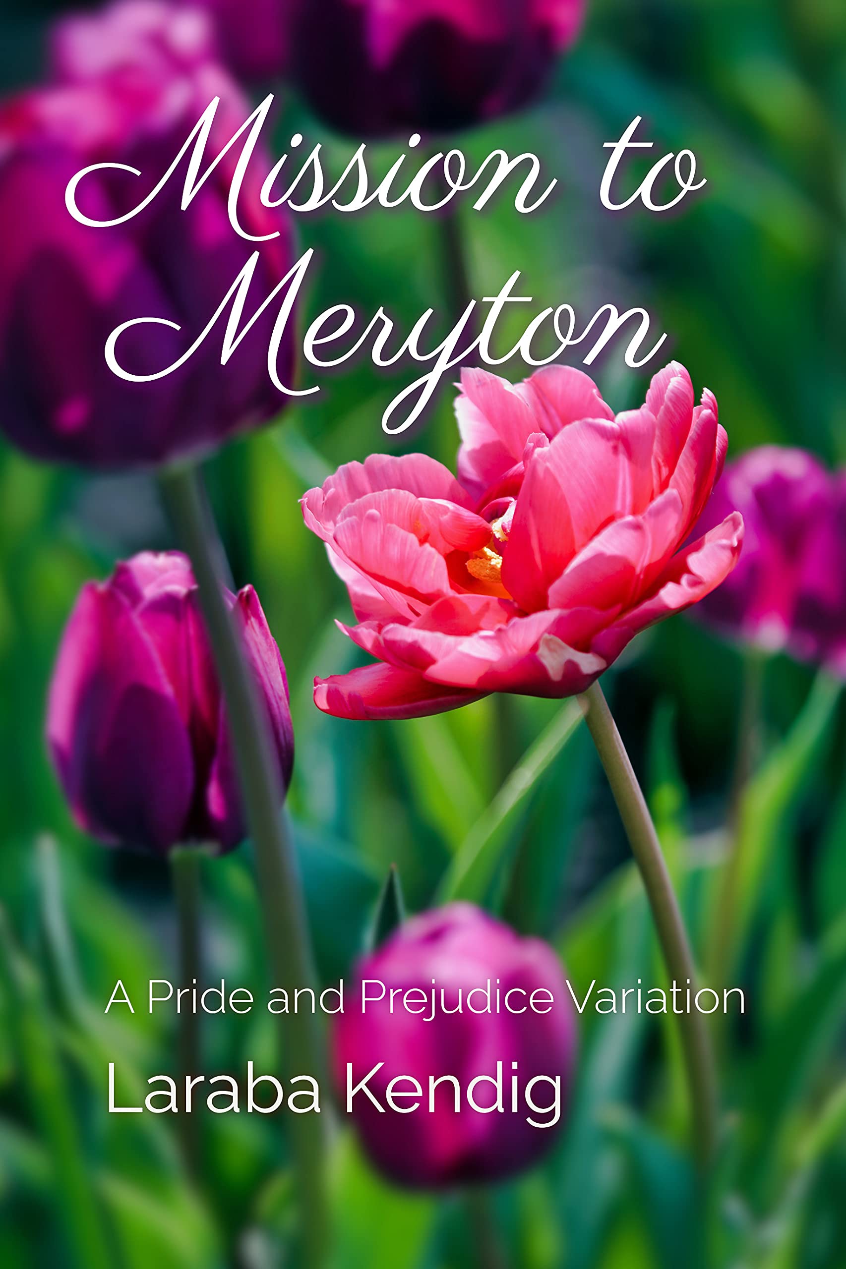Mission to Meryton: A Pride and Prejudice Variation (Kindle Edition)
