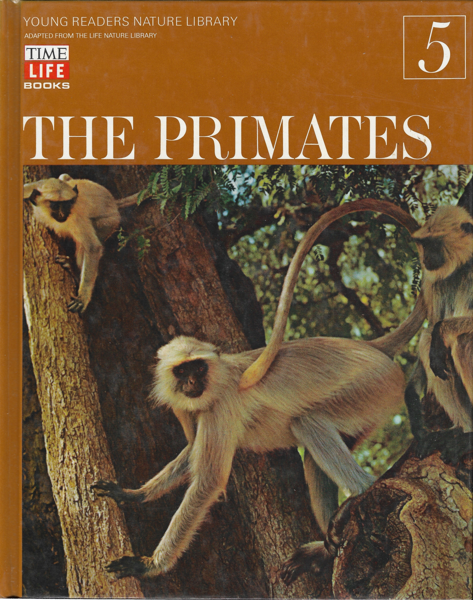 The Primates