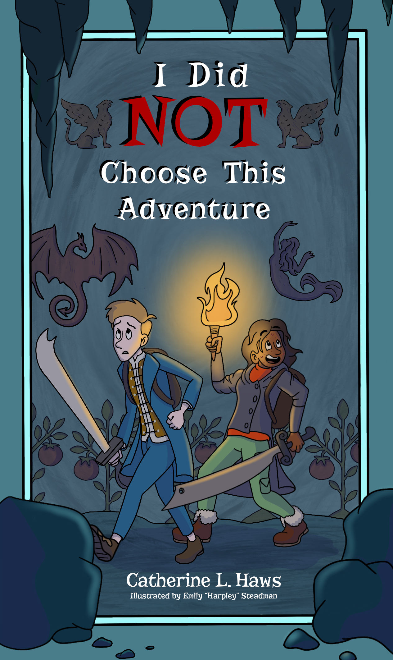 I Did NOT Choose This Adventure (Paperback)