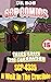 Tales From The Foundation | SCP Comics Vol 16: Minecraft Intruder SCP-4335 A Welt In The Crucible