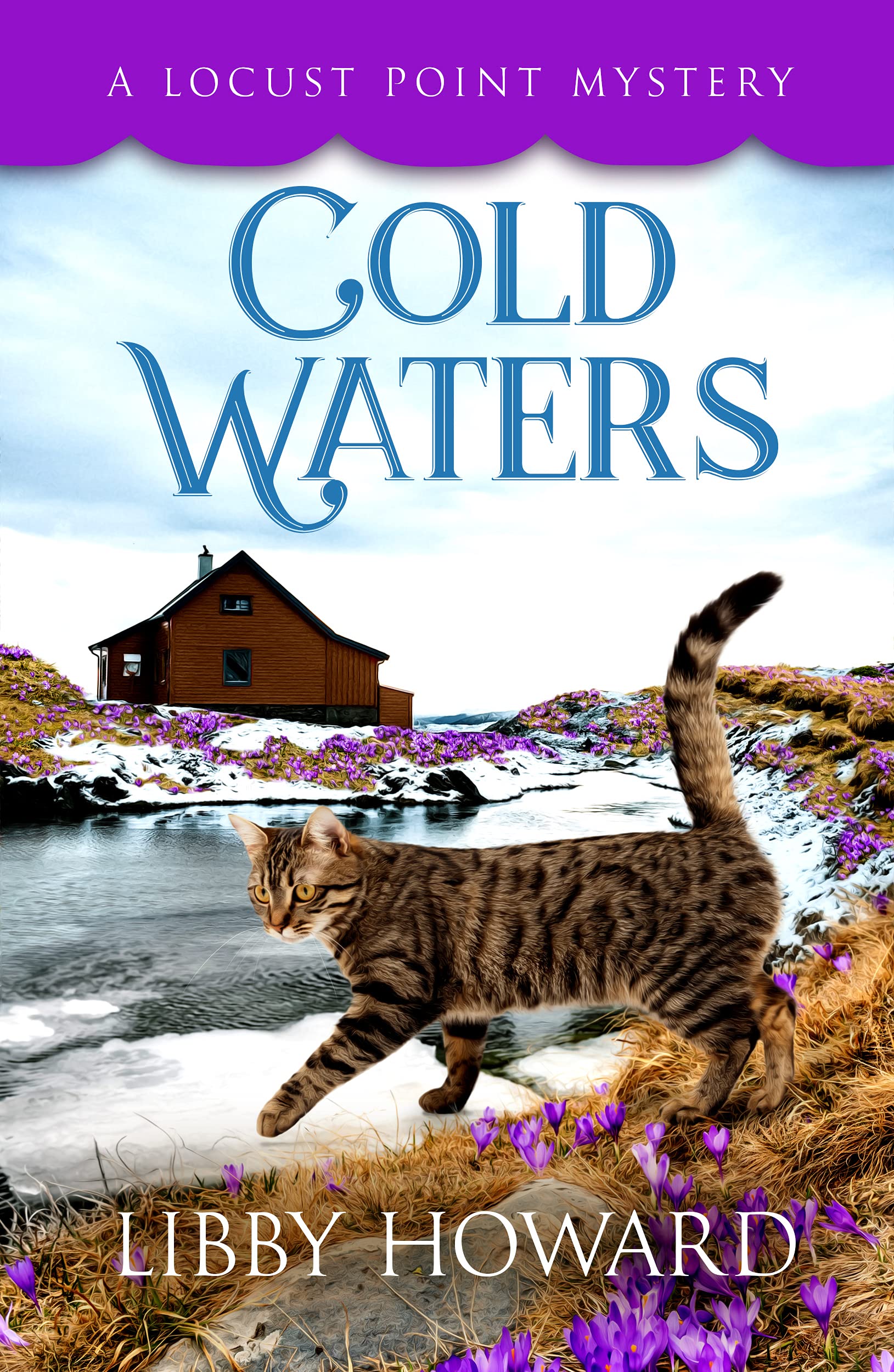 Cold Waters (Locust Point Mystery, #12)