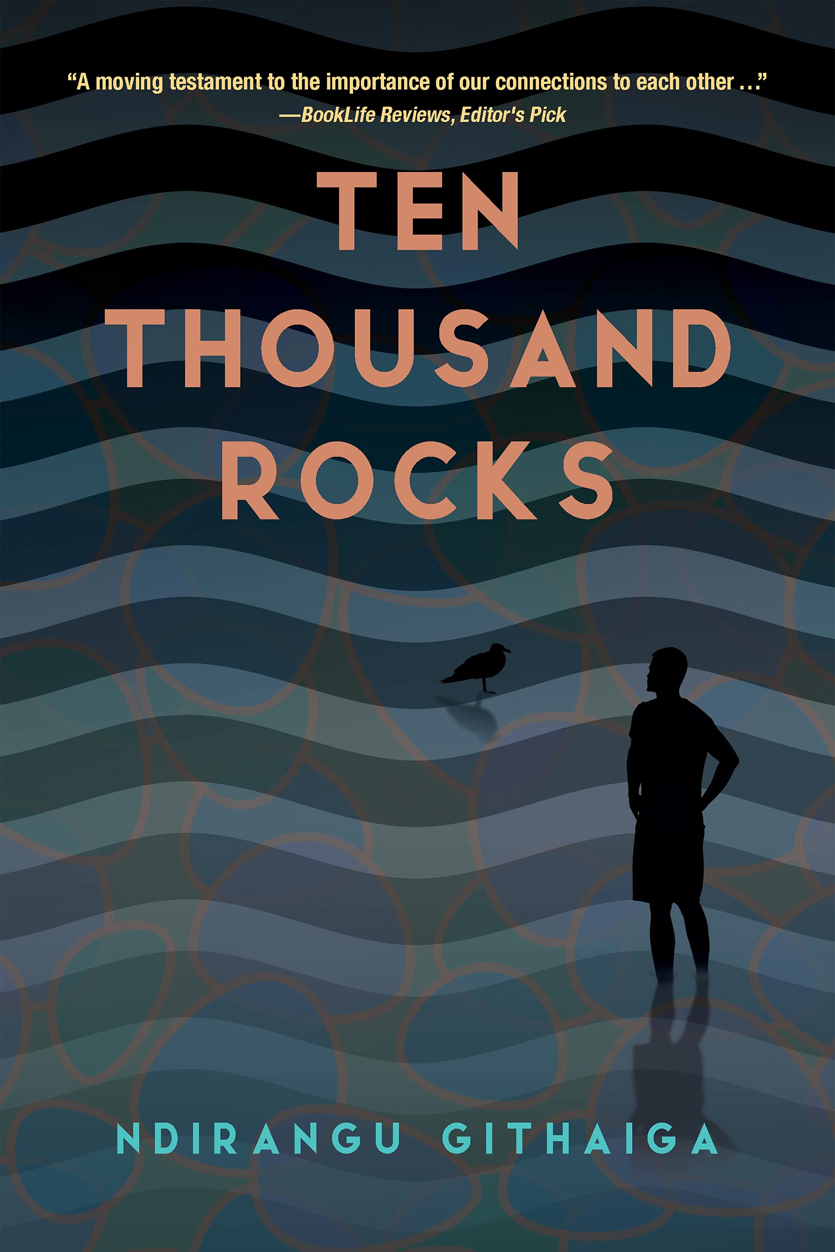 Ten Thousand Rocks (Kindle Edition)