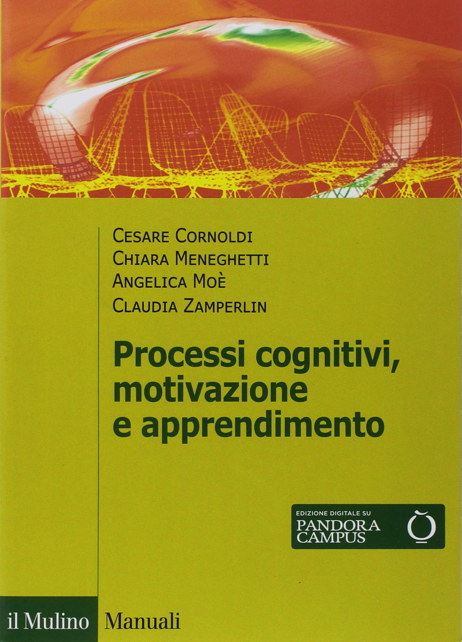 Processi cognitivi, motivazione e apprendimento (Paperback)