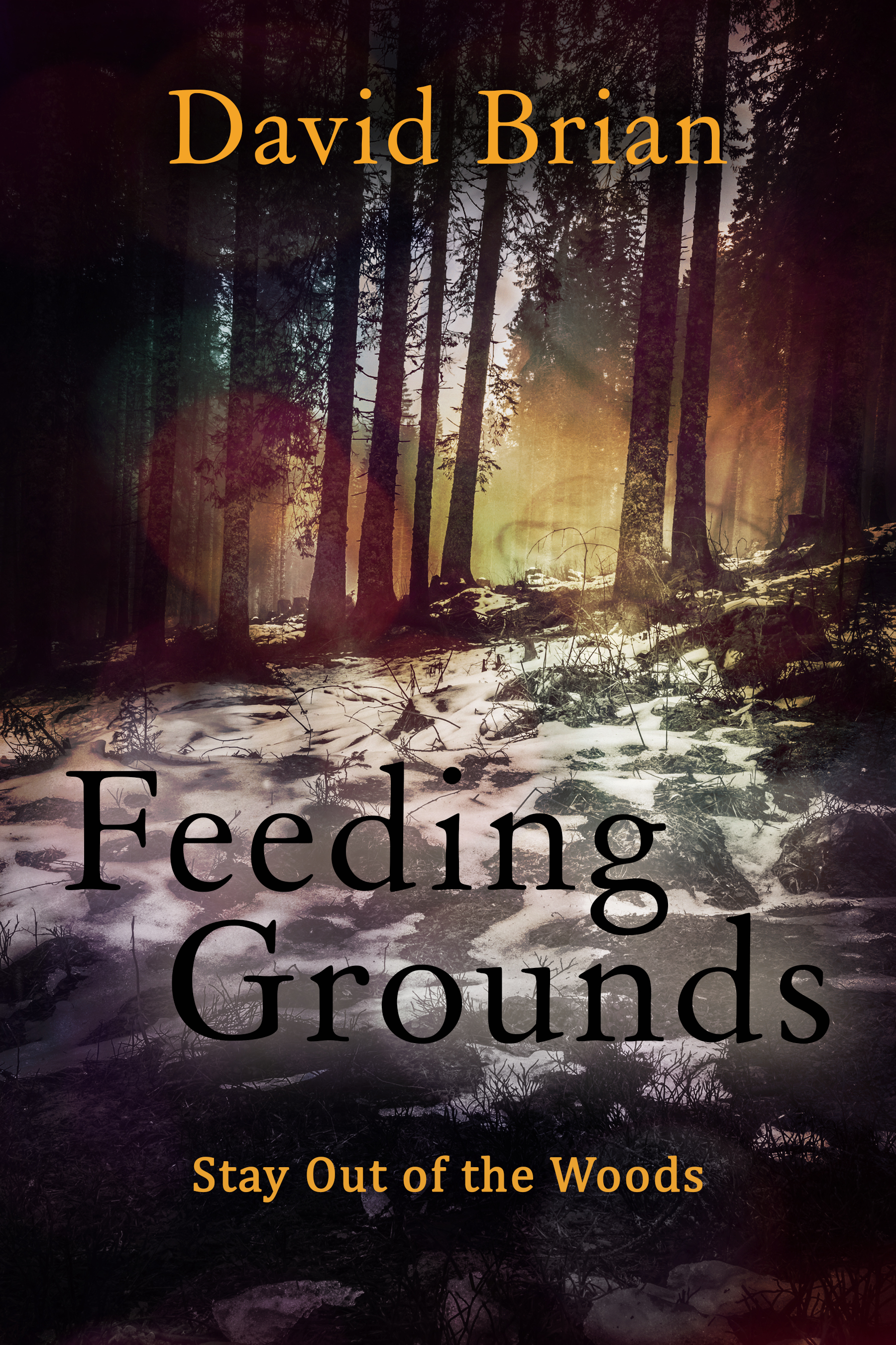 Feeding Grounds (Kindle Edition)