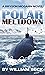 Polar Meltdown (The Bryson ...