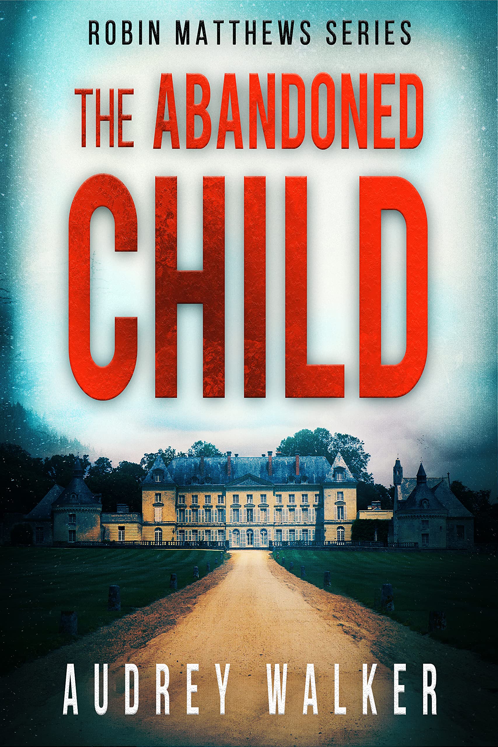 The Abandoned Child (Robin Matthews, Season One, #5; Robin Matthews #5)