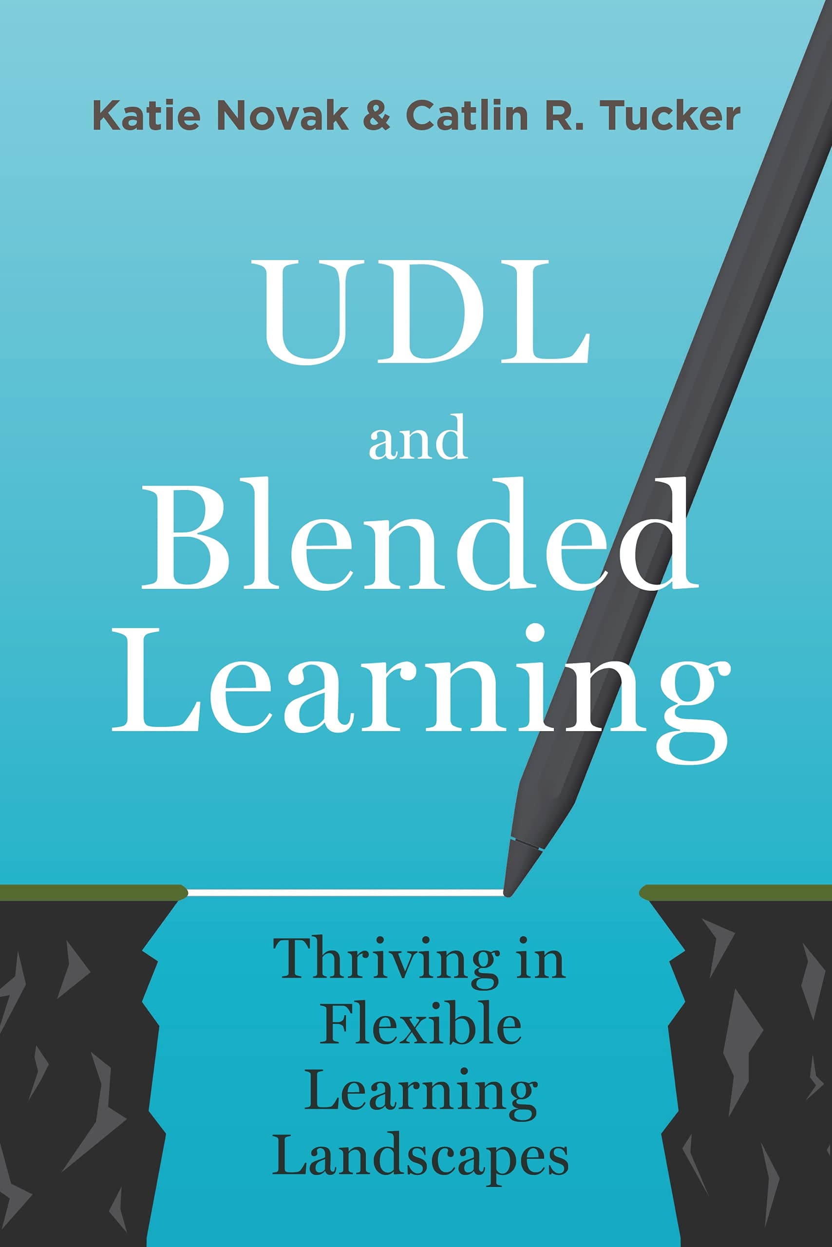 UDL and Blended Learning: Thriving in Flexible Learning Landscapes (Kindle Edition)