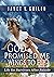 God Promised Me Wings to Fly by Janet V. Grillo