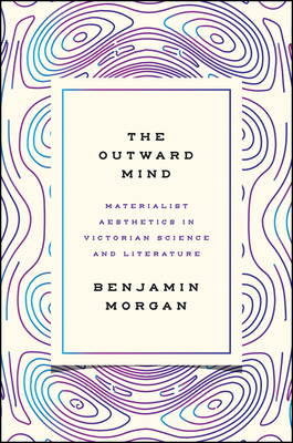 The Outward Mind: Materialist Aesthetics in Victorian Science and Literature (Hardcover)