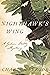 Nighthawk's Wing: A Gideon Stoltz Mystery