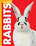 Curious about Rabbits