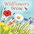 Wildflowers Grow by Amber Hendricks