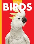 Curious about Birds