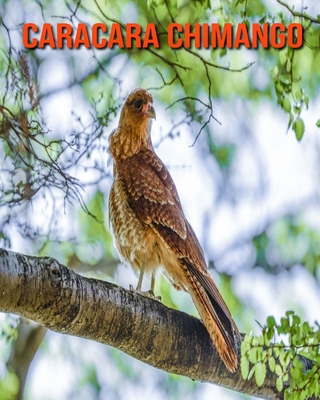 Caracara Chimango: Recueil pour Enfants de Belles Images & d'Informations Int�ressantes Concernant les Caracara Chimango