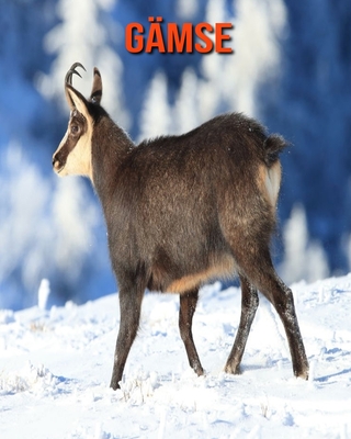 G�mse: Sch�ne Bilder & Kinderbuch mit interessanten Fakten �ber G�mse