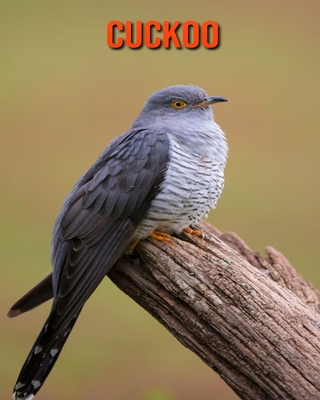 Cuckoo: Amazing Facts & Pictures