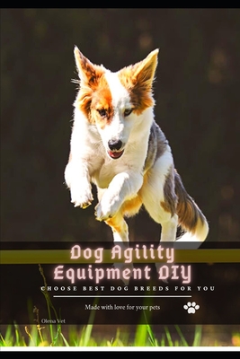 Dog Agility Equipment DIY: Choose best dog breeds for you