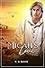 Micah's Love (Irish Legacy #3)