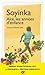Aké, Les Années D'enfance by Wole Soyinka