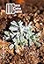 ITC Journal nº21