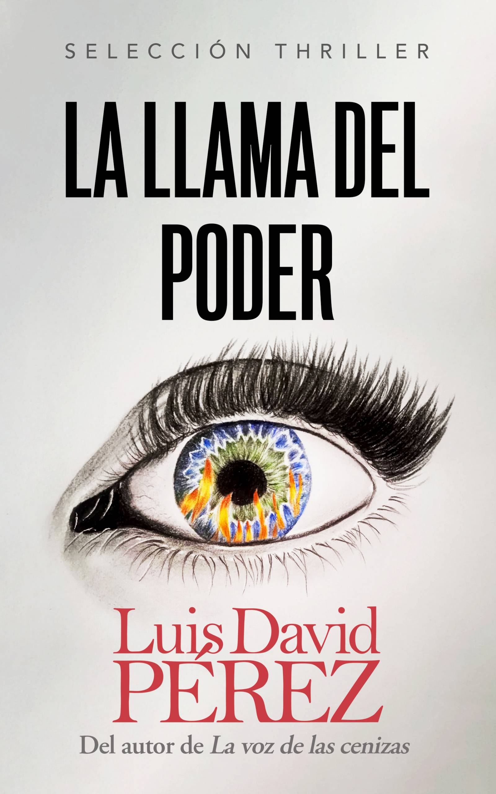 La llama del poder (Paperback)