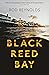 Black Reed Bay (Detective Casey Wray #1)